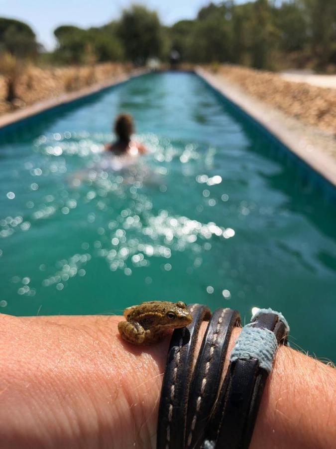Sublim' Ecolodge Abela Luaran gambar